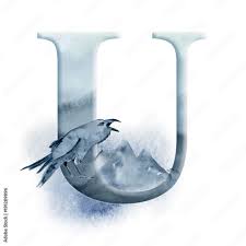 Key correctly recognized wr wrong response dk didn't know nr no response key correctly written wr wrong letter written … Floral Watercolor Alphabet Monogram Initial Letter U Design With Hand Drawn Raven Crow And Mountain Stock Illustration Adobe Stock