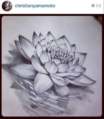 This Lotus Flower Looks Beautiful On The Back Of Your Neck Or Shoulder Description From Pinterest Com Lotus Flower Drawing Water Lily Tattoos Flower Drawing