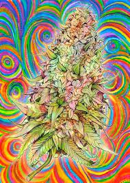 Find an amazing abandoned locale. Stoned