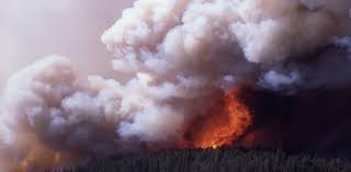 Large Intense Bushfires Can Pump So Much Heat Into The Atmosphere They Form Their Own Thunderstorm System And That Yellowstone Fire Wildland Fire Yellowstone