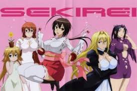 Nonton sekirei , sekirei subtitle indonesia , sekirei sub indo , download sekirei sub indo , streaming sekirei, sekirei 9anime. Sekirei Pure Engagement Bd Subtitle Indonesia Batch Ova Batchindo