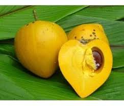 Canistel C V Fes Fruta Estranha Frutas Exoticas Frutas E Vegetais