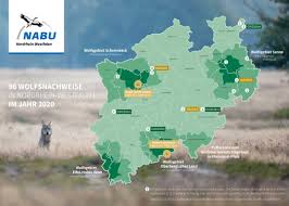 Alle karten sind gekapselte laminate für besseren schutz und haltbarkeit des produkts. Verbreitung Des Wolfs In Nordrhein Westfalen Nabu Nrw