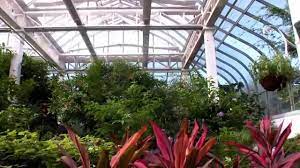 The Key West Butterfly Nature Conservatory Youtube