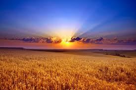 Resultado de imagen para amanecer