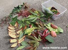 22 different kinds of don's mulch. How To Make Leaf Stepping Stones A Kiwi Gardener Project