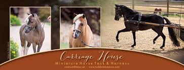 Carriages are stored on the first. Carriage House Miniature Horse Tack Harness Home Facebook
