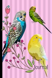 And you can freely use images for your personal blog! Journal Anxiety Journal And Coloring Book 6x9 90 Pages Positive Affirmations Mandala Coloring Book Parakeet Birds Pink Cover Stationary Happytails 9781708696009 Amazon Com Books