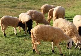 ม.2 ต.ตะนาวศรี อ.สวนผึ้ง (7,624.52 mi) ratchaburi, thailand, 70180 à¸— à¹€à¸— à¸¢à¸§à¸ªà¸§à¸™à¸œ à¸‡ à¸„ à¸¡ à¸­à¸— à¸­à¸‡à¹€à¸— à¸¢à¸§à¸ªà¸§à¸™à¸œ à¸‡à¸‰à¸š à¸šà¹„à¸›à¹€à¸— à¸¢à¸§ à¹„à¸›à¸ à¸™ à¹„à¸›à¸ž à¸à¹à¸šà¸šà¸„à¸£à¸šà¸£à¸ª à¹€à¸— à¸¢à¸§à¸£à¸²à¸Šà¸š à¸£