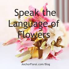 If the adults practice courtesy, the children will learn from that. Anchor S Away Anchor Floral Gift Shop Blog House Plant Help Ask A Florist Flower Gift Etiquette Adams Friendship Wi Your Real Local Florist Same