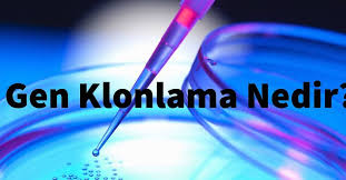 Gen Klonlama Nedir Link Bio Da Instagram Bio Link