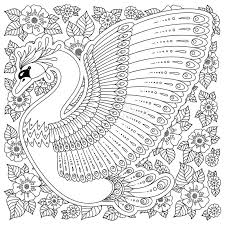 Free printable zentangle peacock coloring pages for adults and teens. Adult Antistress Coloring Page Peacock Stock Illustrations 112 Adult Antistress Coloring Page Peacock Stock Illustrations Vectors Clipart Dreamstime
