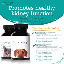 Aminavast Kidney Support Supplement For Cats And Dogs 300mg Promotes And Supports Natural Kidney Function Supports Health And Cat Health Dog Cat Pet Cleaning
