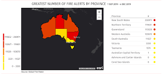 Australia Bushfires Cause Impact And Restoration One Tree Planted