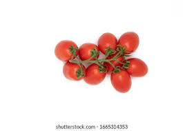 Image result for tomato Piccadilly