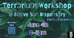 Terrarium Workshop at Native Sun Dispensary 21+