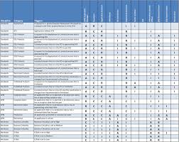 Establishing Roles Responsibilities For Ea Functions Raci