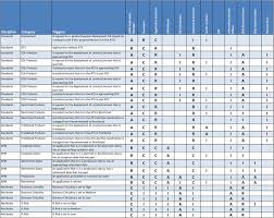 Establishing Roles Responsibilities For Ea Functions Raci