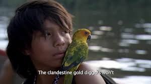 Dirty Paradise - Trailer