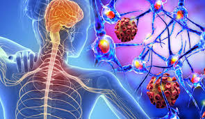 We did not find results for: Rmn