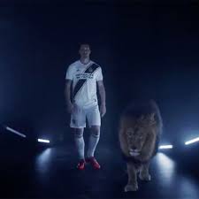 Ibrahimovic has certainly always been an outspoken character, unafraid to let the world know how he is like the image of the angel zlatan, the lion is a leitmotif in many of his public pronouncements. Zlatan Ibrahimovic Watch Official La Galaxy Announcement Video Sports Illustrated