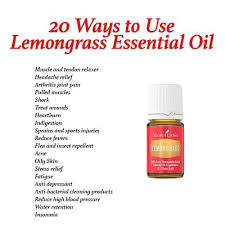 We did not find results for: Lemongrass Essential Oil 15ml By Young Living Essential Oils Shopee Philippines