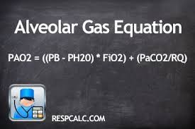 Check spelling or type a new query. Alveolar Gas Equation Pao2 Respcalc Respiratory Therapy Respiratory Therapist Respiratory Therapy Exam