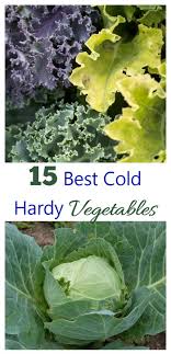 It's the end of the world as we know it, and your city isn't doing fine. Cold Hardy Vegetables Let You Get A Head Start On Spring