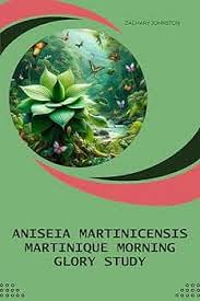 Image result for Aniseia martinicensis