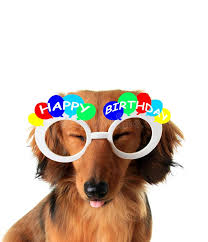 4 356 Happy Birthday Puppy Photos Free Royalty Free Stock Photos From Dreamstime
