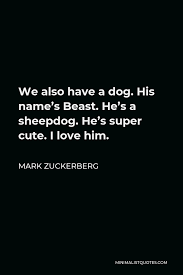 Motivational quotes are great…unless they're not. Mark Zuckerberg Quote We Also Have A Dog His Name S Beast He S A Sheepdog He S Super Cute I Love Him