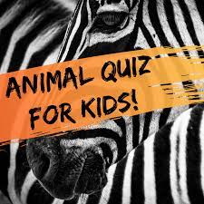 For starters, the biggest difference is a focus on anima. Multiple Choice Quiz For Kids Fun Animal Trivia Questions Wehavekids