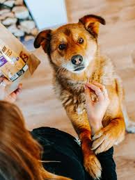 Read how this process can preserve your pet or wildlife in as natural state as possible. Using Freeze Dried Pet Foods And Snacks Is More Convenient Than Frozen Bestbarf