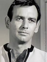 170 Best david janssen ideas