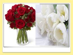 Maybe you would like to learn more about one of these? Buy Bulk Flowers Online Ppt Download