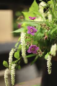 We did not find results for: Emily Thompson Flowers Carter Design