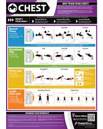 Bench Exercise Chart Chest Workout Fitness Chart Chest