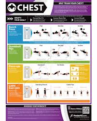 bench exercise chart chest workout fitness chart chest