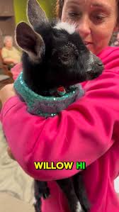 Big thanks to U.S. Embassy ambassador David Cohen for taking me up