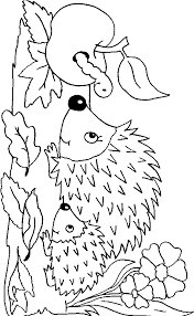 Malvorlagen Herbst Igel Ausmalbilder Fur Kinder Igel Ausmalbild Malvorlagen Herbst Ausmalbilder Herbst