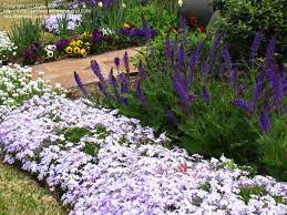 Pin On Flower Gardens
