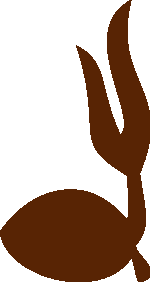 Logo tunas kelapa pramuka png 1. Cari Gambar Tunas Kelapa