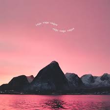 Image result for Vausagesia