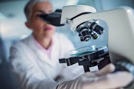 Rapid Flu Strep And Mono Tests Walk In Clinics Fastmed