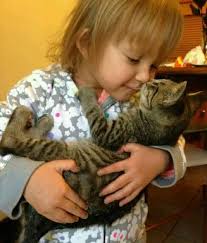 i love people who love cats and dogs