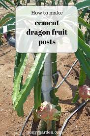 Check spelling or type a new query. How To Make Concrete Dragon Fruit Posts