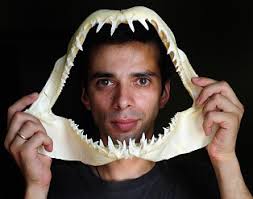 Marketplace . Photo stock