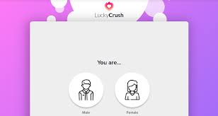 2019 best pro apk apps, lite version for pc. Luckycrush Video Chat Randomly Pairs Opposite Sex Partners Lets Women Earn Money By Chatting Redmond Pie