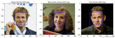 Cnn version of mmod i think. Python And Dlib Face Detection Programmer Sought