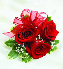The rosa rugosa is a woody shrub from the rosaceae family that reaches a height and width of 6 feet. Red Rose Corsage By Cherryland Flowers